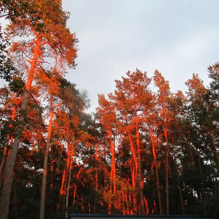 Mit Garten- Grill Und Terrasse By Interhome Apartamento