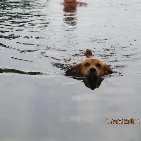 Apartment Mit Garten- Grill Und Terrasse By Interhome *