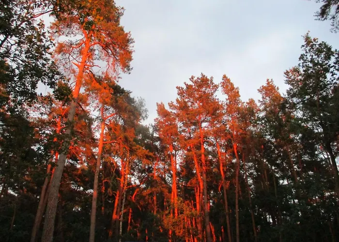 Mit Garten- Grill Und Terrasse By Interhome Apartment