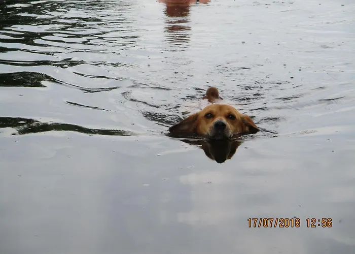 Apartment Mit Garten- Grill Und Terrasse By Interhome *